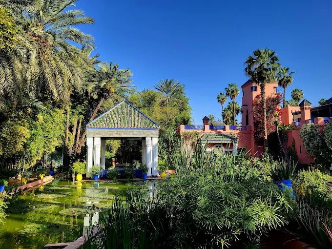 From Marrakech: Ourika Valley Day Trip with Waterfalls and Argan Cooperative Visit