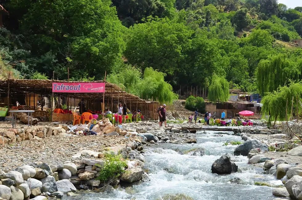 From Marrakech: Ourika Valley Waterfalls Day Trip with Lunch and Argan Oil Visit