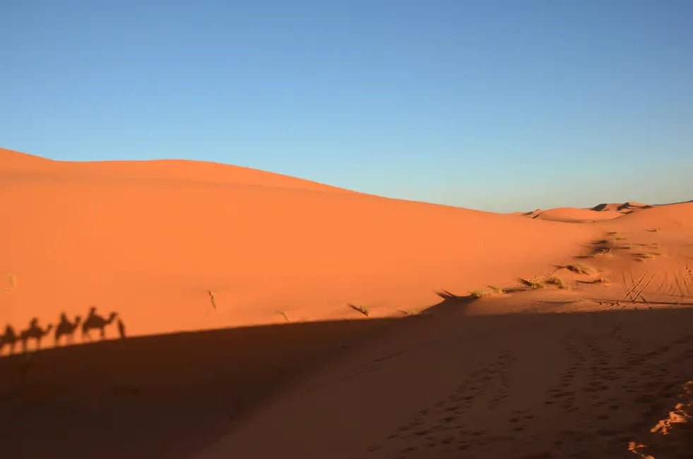 From Marrakech: Private 3 - Days Tour from Marrakech to Merzouga with Desert Camp Stay