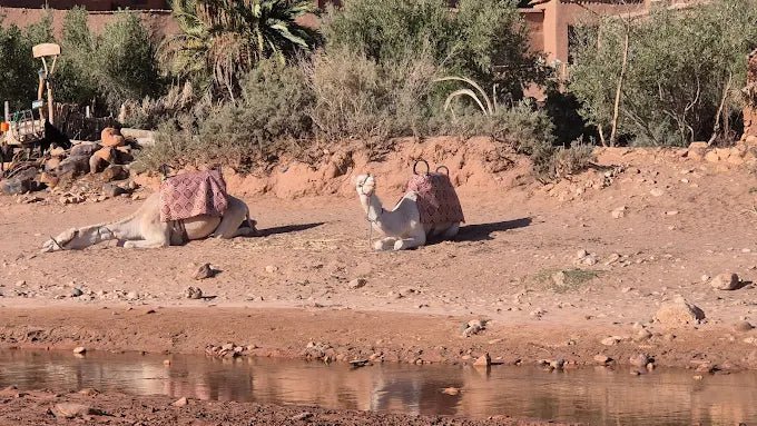 From Marrakech: Private 3 - Days Tour from Marrakech to Merzouga with Desert Camp Stay