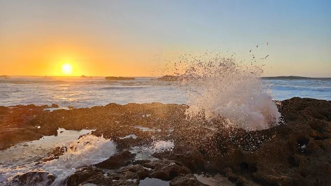 From Marrakech: Private Day Trip to Essaouira with Hotel Pickup