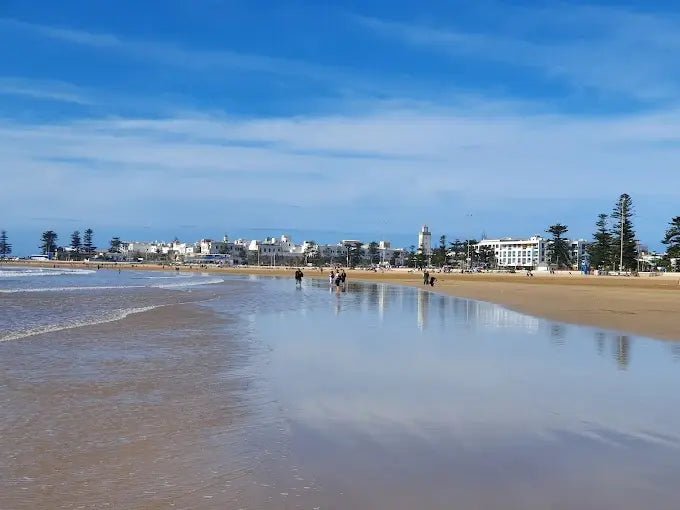 From Marrakech: Private Day Trip to Essaouira with Hotel Pickup