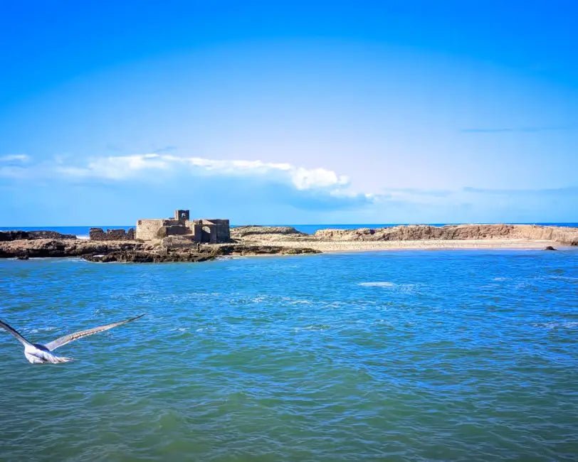 From Marrakech: Private Day Trip to Essaouira with Hotel Pickup