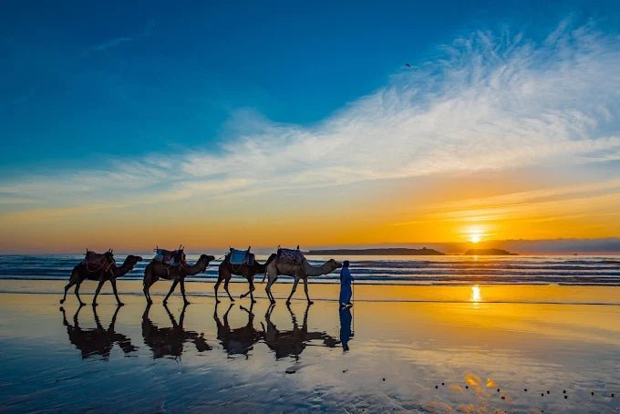 From Marrakech: Private Day Trip to Essaouira with Hotel Pickup