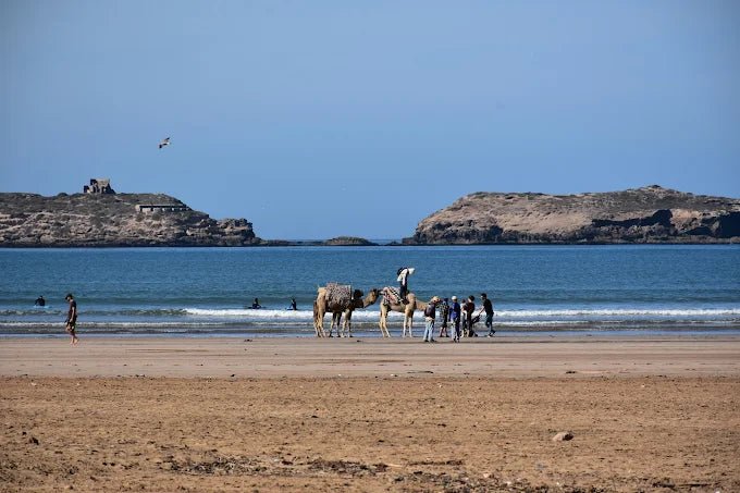 From Marrakech: Private Day Trip to Essaouira with Hotel Pickup