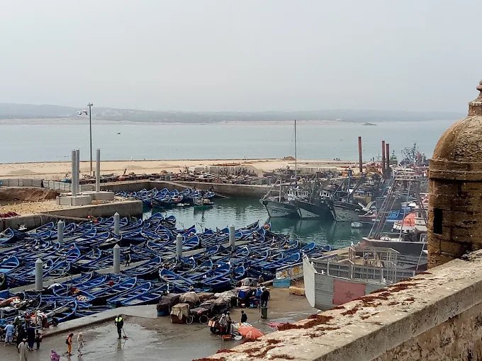 From Marrakech: Private Day Trip to Essaouira with Hotel Pickup