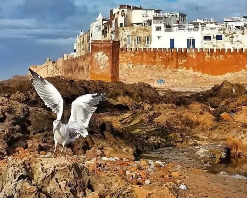 From Marrakech: Private Day Trip to Essaouira with Hotel Pickup