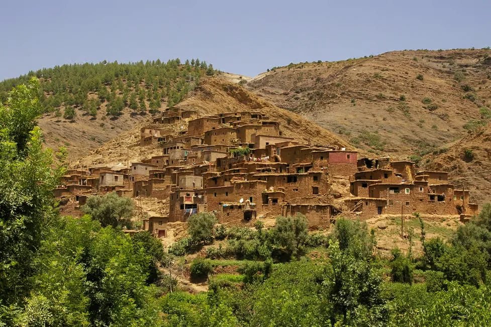 From Marrakech: Private Day Trip to Imlil and Aremd in the High Atlas