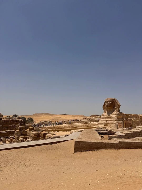 From Marsa Alam: Giza Pyramids and Egyptian Museum Day Trip by Plane