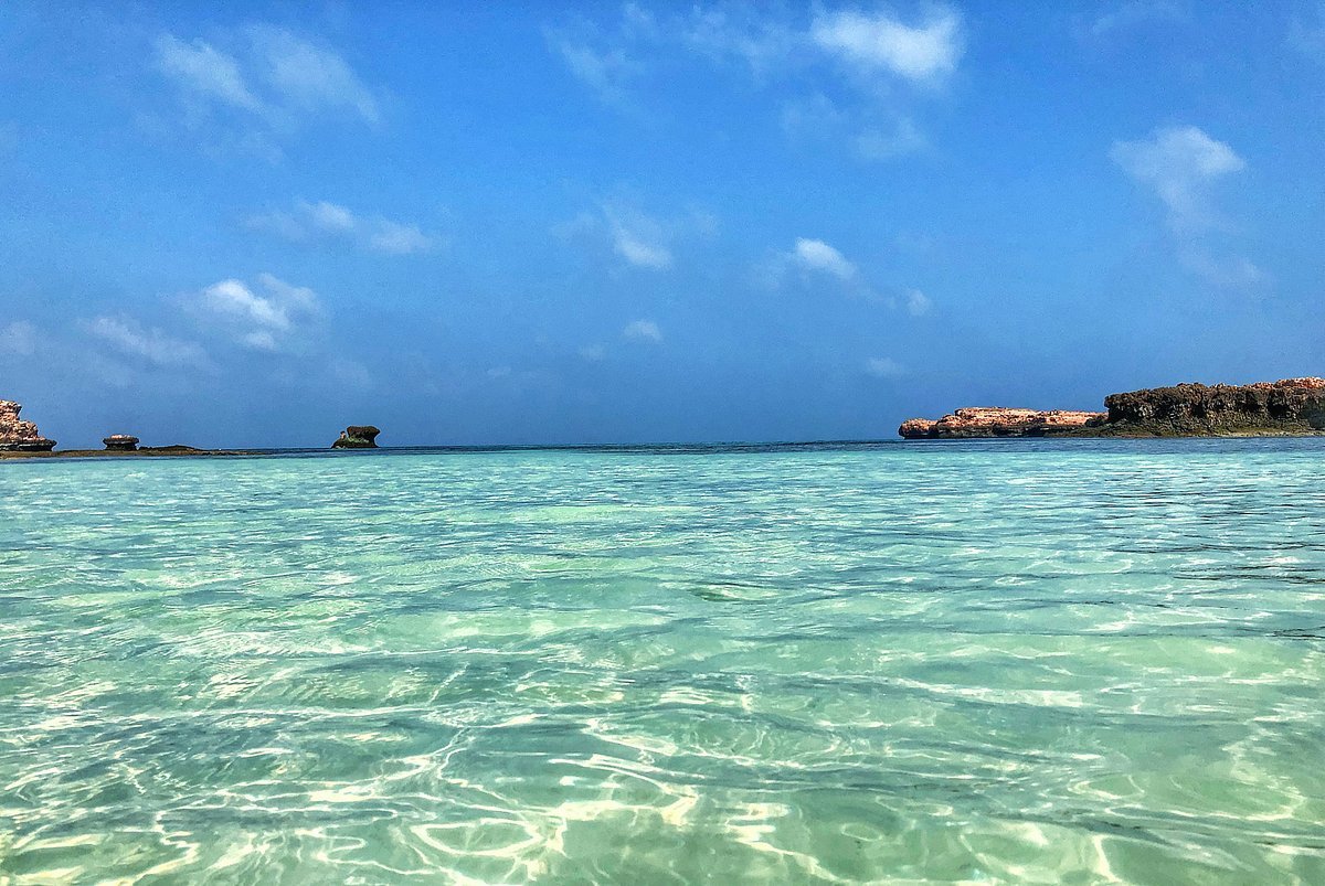From Muscat: 5 Guided Tours Including Desert Safari, Wadi Shab & Snorkeling with Turtles