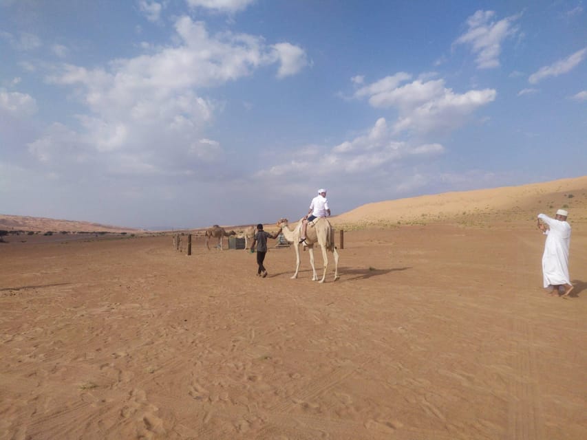 From Muscat: 8 - Day Private Oman Tour to Wadis, Desert, Mountains, and Forts