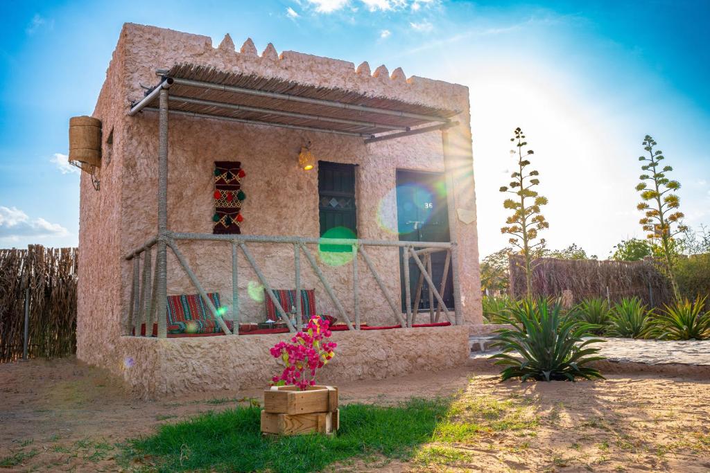 From Muscat: 8 - Day Private Oman Tour to Wadis, Desert, Mountains, and Forts