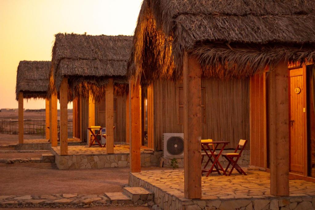 From Muscat: 8 - Day Private Oman Tour to Wadis, Desert, Mountains, and Forts