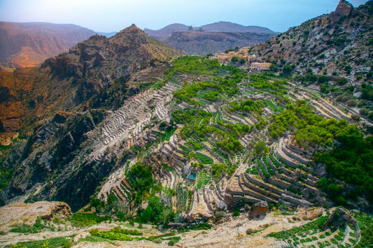 From Muscat: Private Tour to Nizwa, Jebel Akhdar or Jebel Shams with Fort Visit