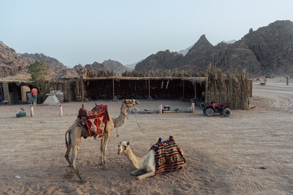 From Sharm El Sheikh: Day Trip to Dahab Colored Canyon and Blue Hole with Snorkeling