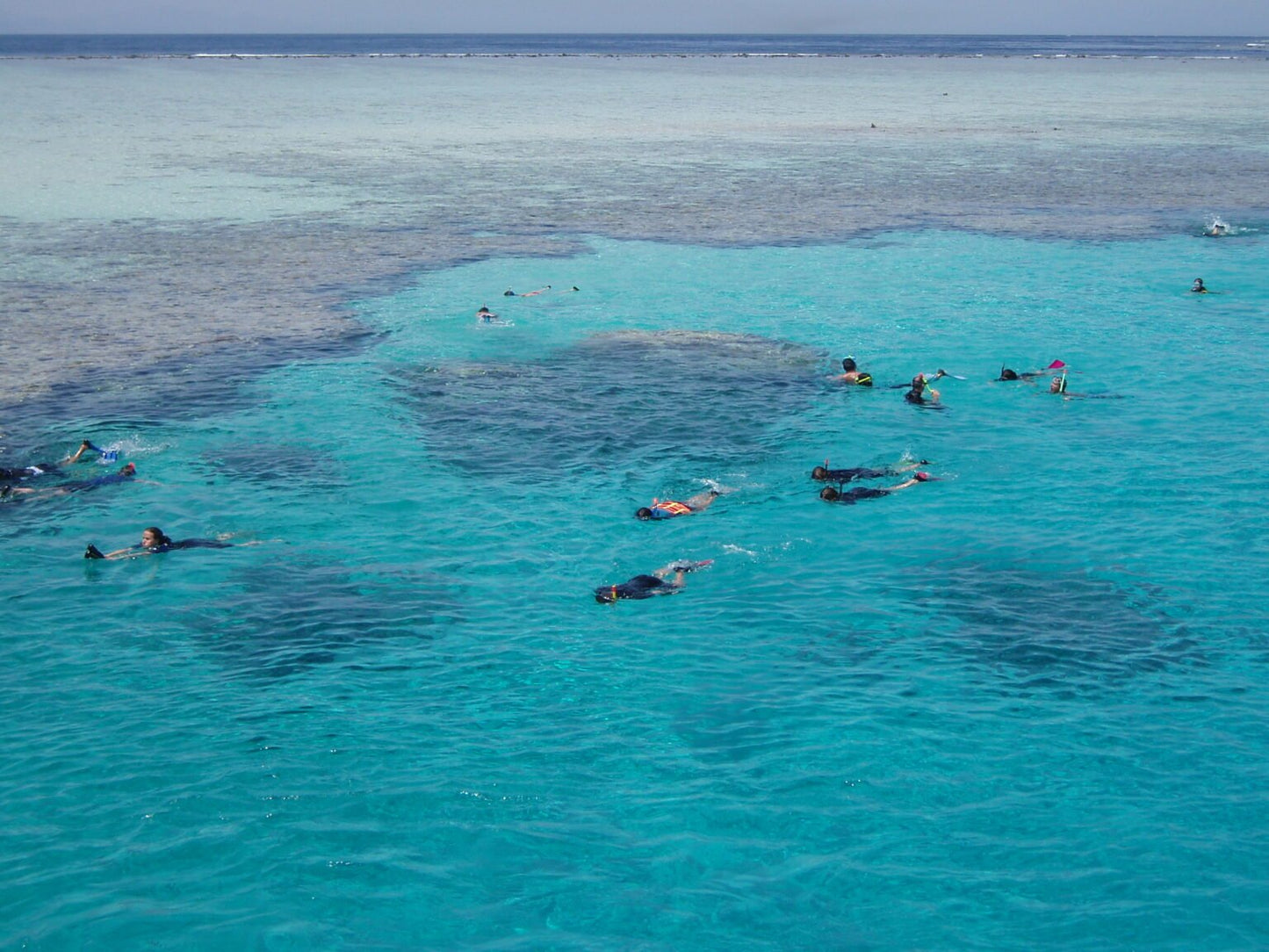 From Sharm El Sheikh: Snorkeling Day Trip to Tiran Island