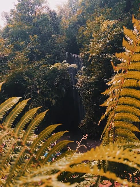 From Ubud: Waterfall, Jungle Swing and ATV Gorilla Cave Tour