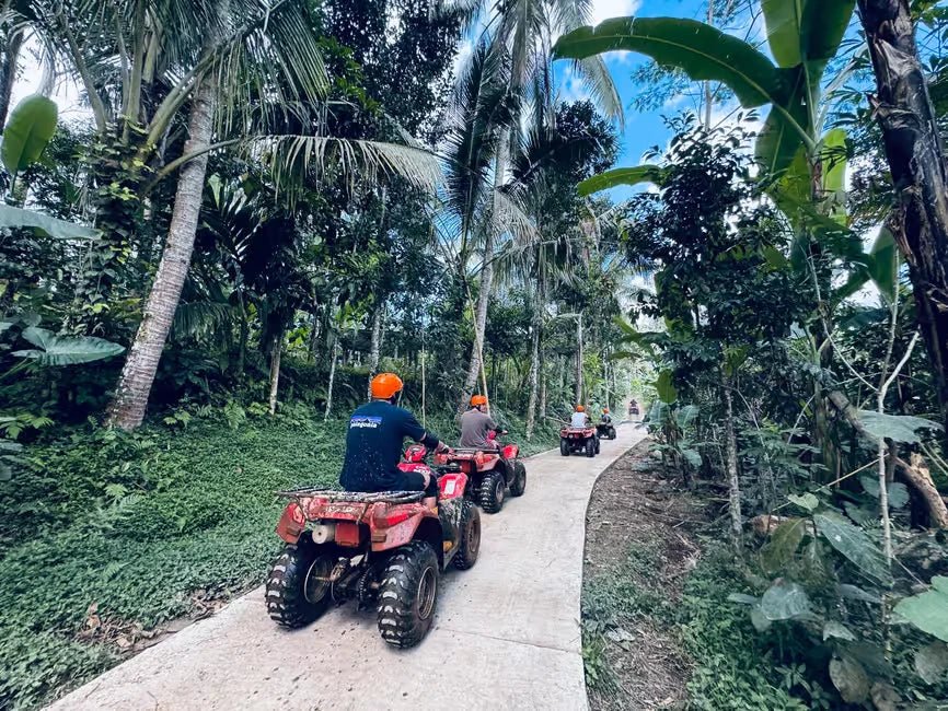 From Ubud: Waterfall, Jungle Swing and ATV Gorilla Cave Tour