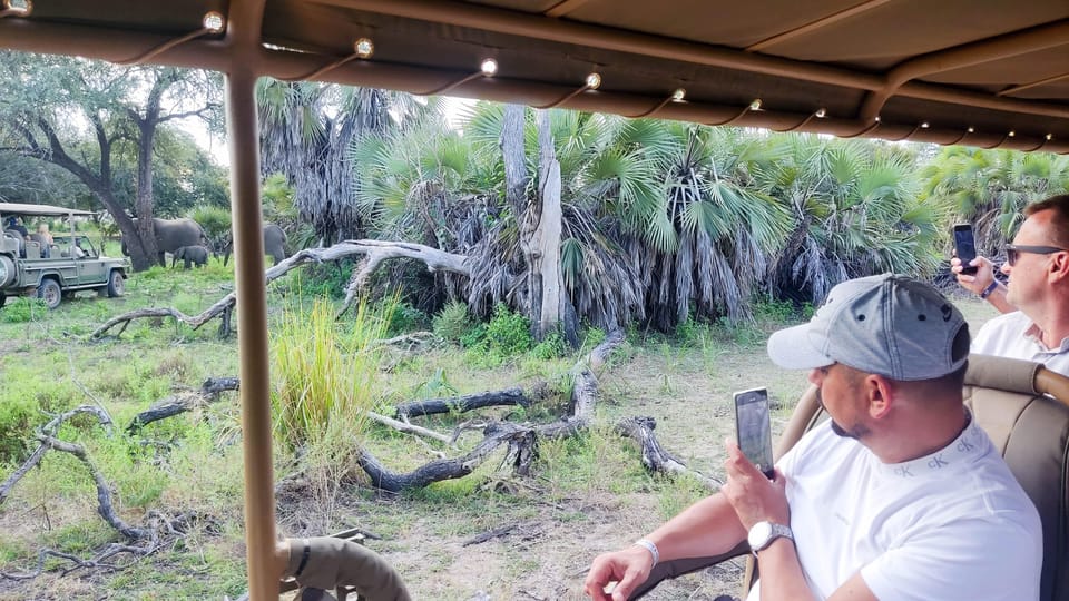 From Zanzibar: 2 - Days Trip with 3 Safaris in Nyerere National Park and Rufiji River