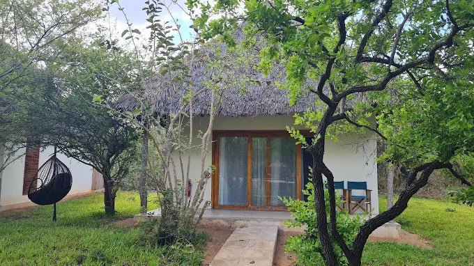 From Zanzibar: 2 - Days Trip with 3 Safaris in Nyerere National Park and Rufiji River