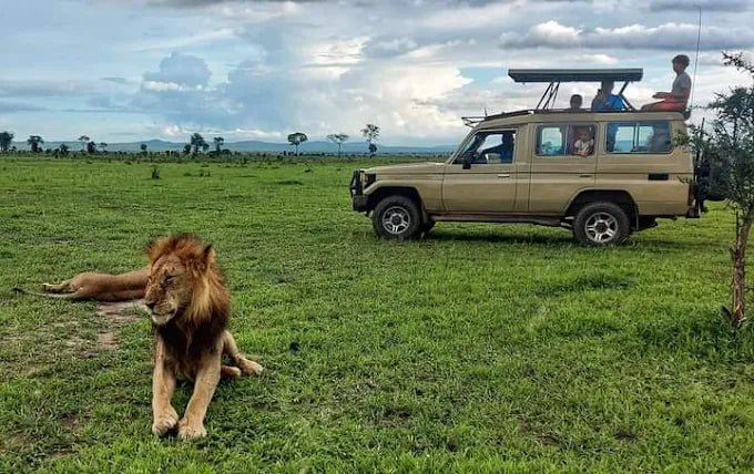 From Zanzibar: 3 - Days Mikumi National Park Safari with Train and Ferry
