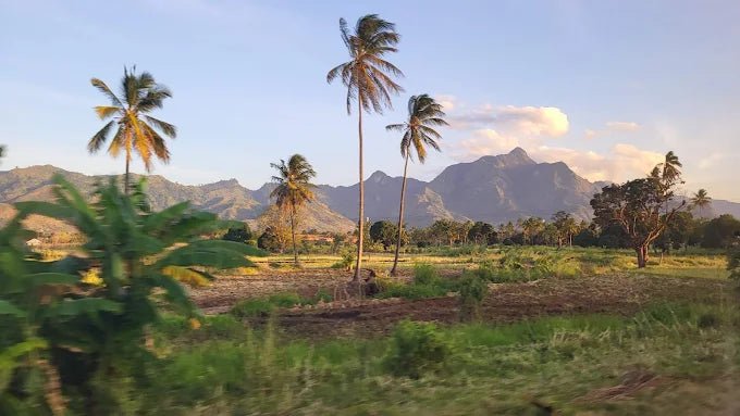 From Zanzibar: 3 - Days Mikumi National Park Safari with Train and Ferry