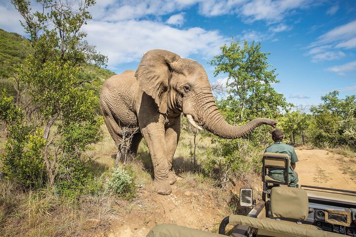 From Zanzibar: Day Trip to Mikumi National Park with Flight and Game Drive