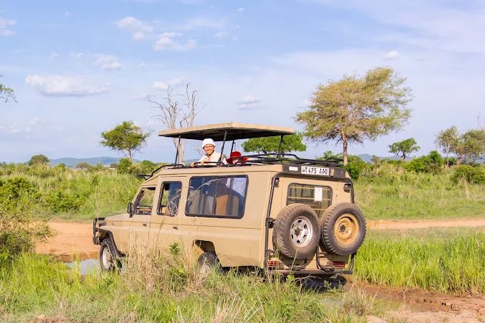 From Zanzibar: Mikumi National Park Day Trip with Flights, Jeep Safari and Lunch
