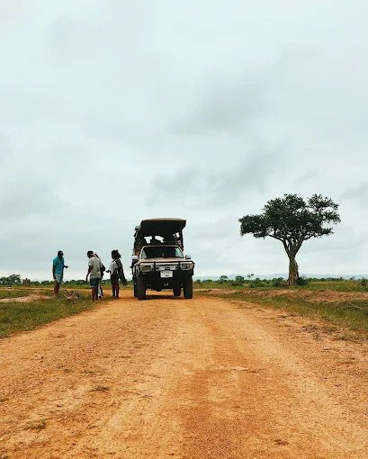 From Zanzibar: Mikumi National Park Day Trip with Flights, Jeep Safari and Lunch