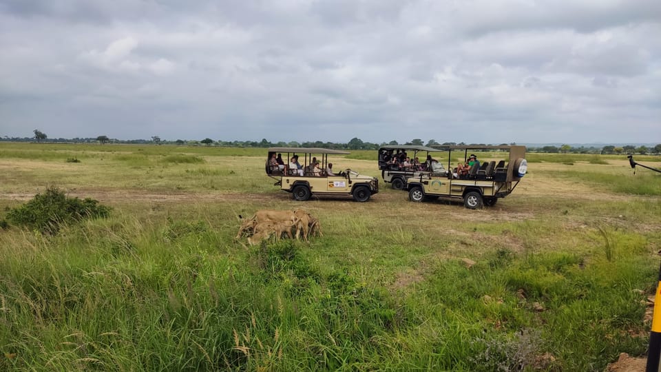 From Zanzibar: Mikumi National Park Guided Safari by Flight
