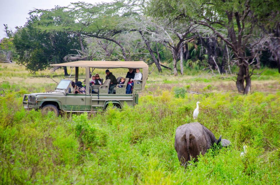 From Zanzibar: Mikumi National Park Guided Safari by Flight