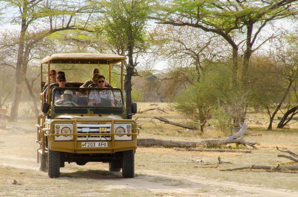 From Zanzibar: Mikumi National Park Guided Safari by Flight