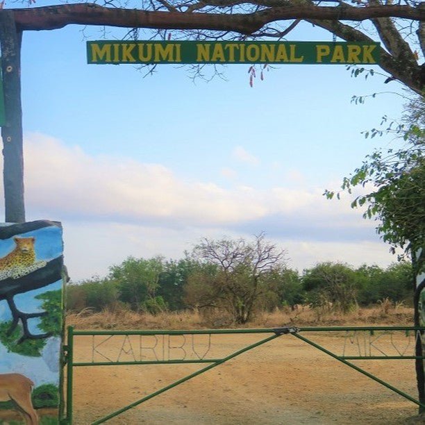 From Zanzibar: Mikumi National Park Safari Day Trip with Game Drive