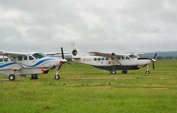 From Zanzibar: Mikumi National Park Safari Day Trip with Game Drive