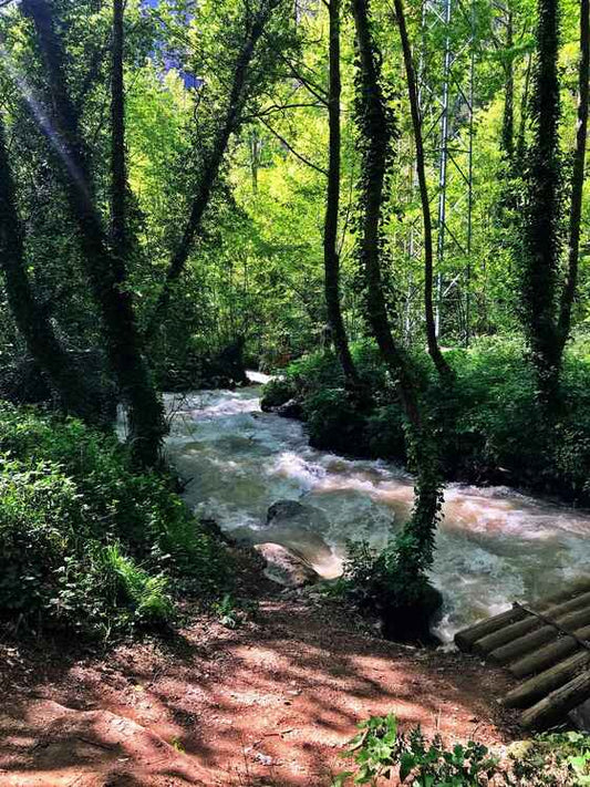 Bejrut: Wycieczka z przewodnikiem od klasztoru Mar Lishaa do klasztoru Qannoubine