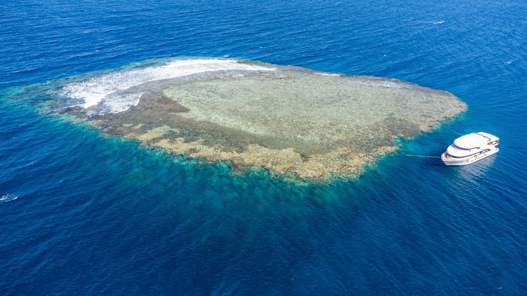 Marsa Alam: Öğle Yemeği ile Marsa Mübarek Şnorkelli Dalış Tekne Turu