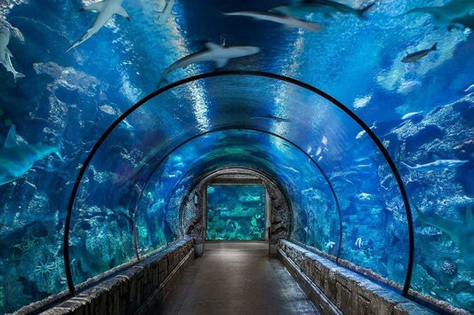 Hurghada: Bilety wstępu do Grand Aquarium