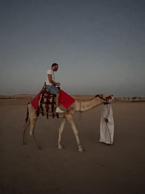 Hurghada: Desert Safari with Camel and Horse Ride