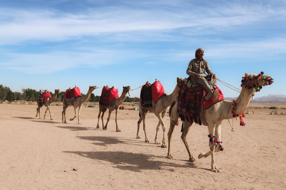 Hurghada: Desert Safari with Camel and Horse Ride