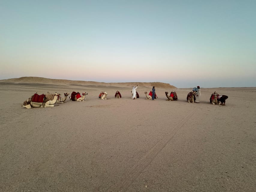 Hurghada: Desert Safari with Camel and Horse Ride
