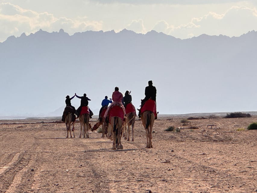 Hurghada: Desert Safari with Camel and Horse Ride