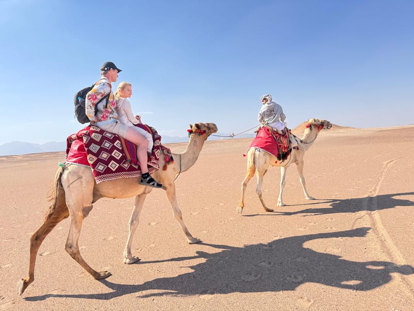 Hurghada: Desert Safari with Camel and Horse Ride