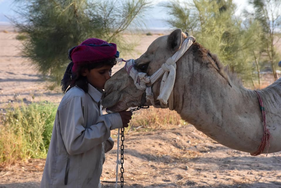 Hurghada: Desert Safari with Camel and Horse Ride