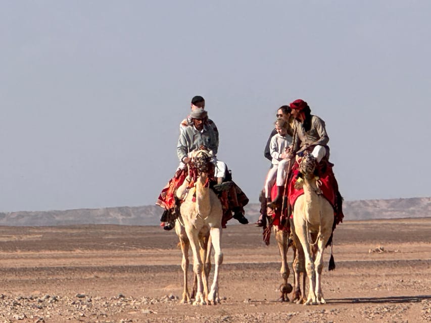 Hurghada: Desert Safari with Camel and Horse Ride