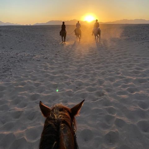 Hurghada: Desert Safari with Horseback Riding, BBQ Dinner and Stargazing Experience