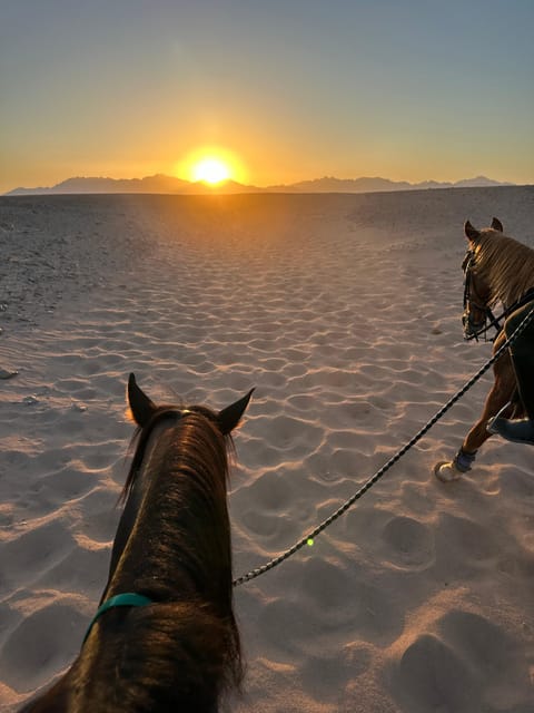 Hurghada: Desert Safari with Horseback Riding, BBQ Dinner and Stargazing Experience