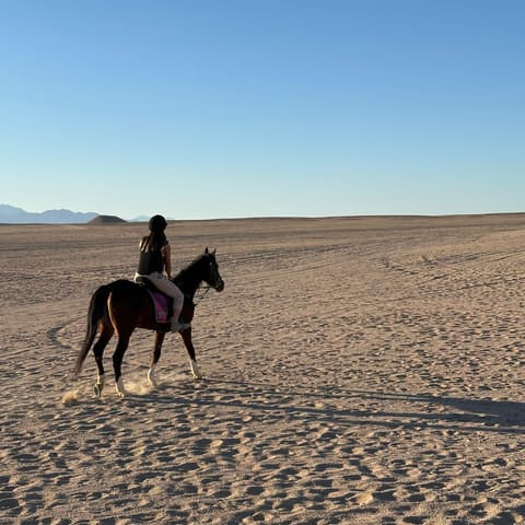 Hurghada: Desert Safari with Horseback Riding, BBQ Dinner and Stargazing Experience