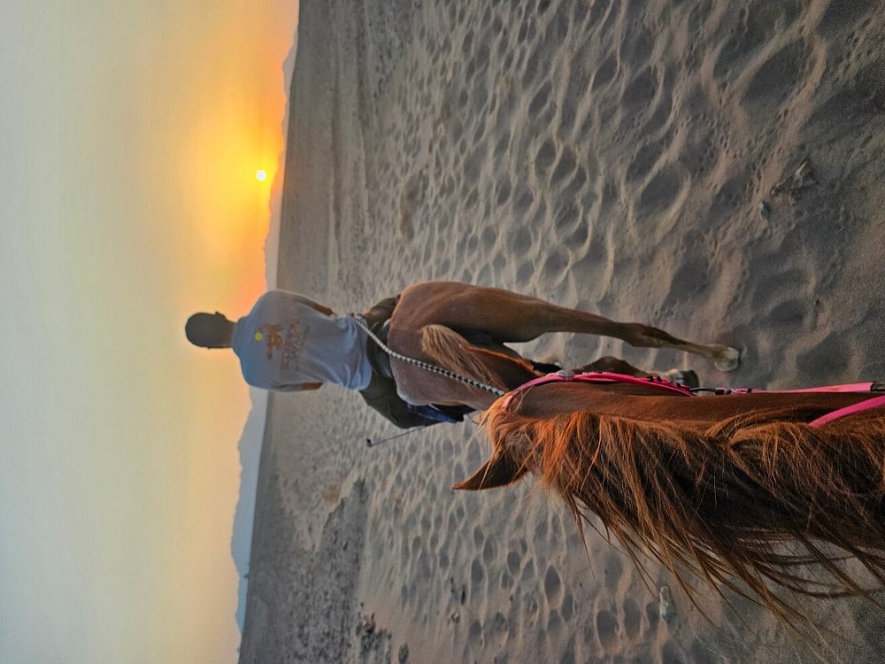 Hurghada: Desert Safari with Horseback Riding, BBQ Dinner and Stargazing Experience