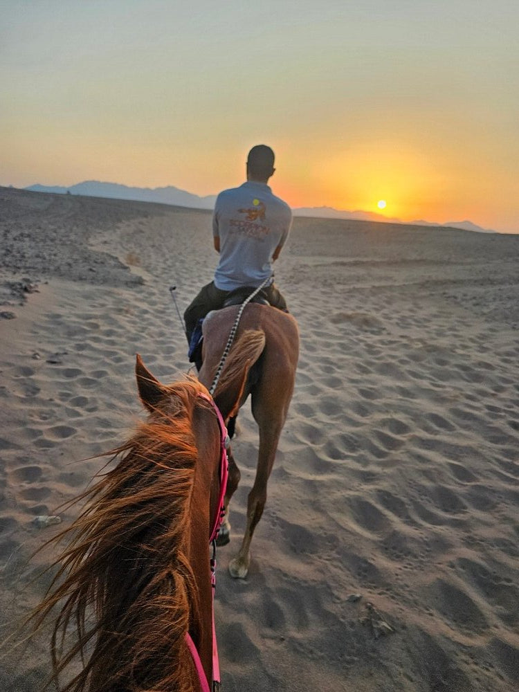Hurghada: Desert Safari with Horseback Riding, BBQ Dinner and Stargazing Experience