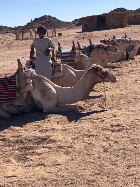 Hurghada: Desert Safari with Quad Bike, Dune Buggy, Camel Ride & Bedouin Village Experience